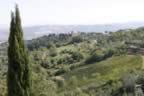 Vista vicino a Castiglion d'Orcia (21kb)